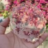 Resin flower preservation